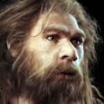 Evolutionary Genetics and the Neanderthal Inside Us