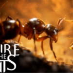 Empire of the Ants: Photorealistic ants live in this gorgeous-looking game