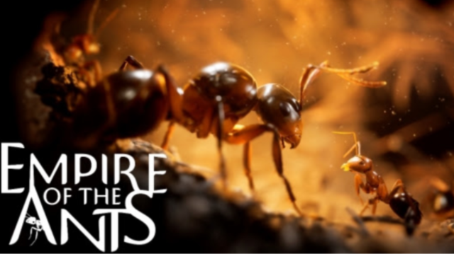 Empire of the Ants: Photorealistic ants live in this gorgeous-looking game